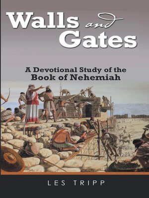 cover image of Walls and Gates